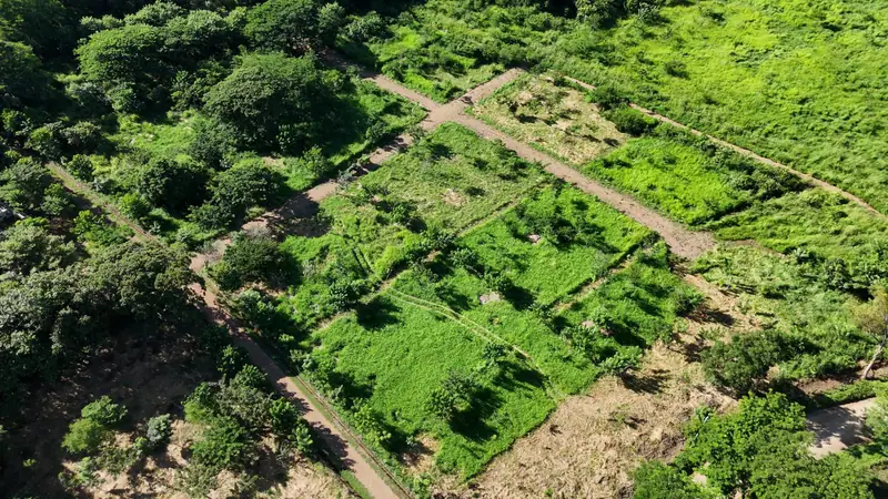 Lots of Las Planadas from above, divided by paths