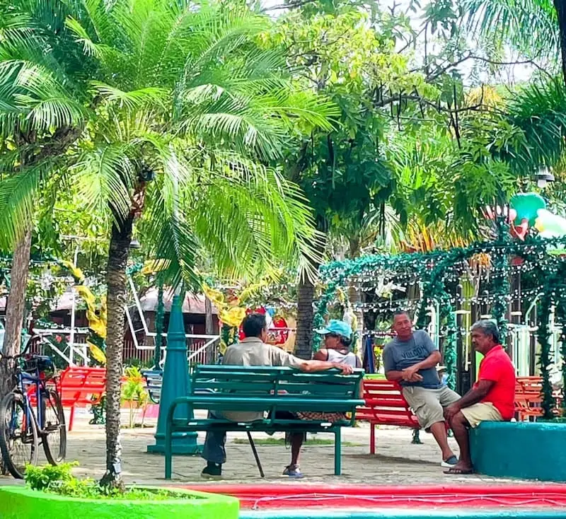 The park of the village